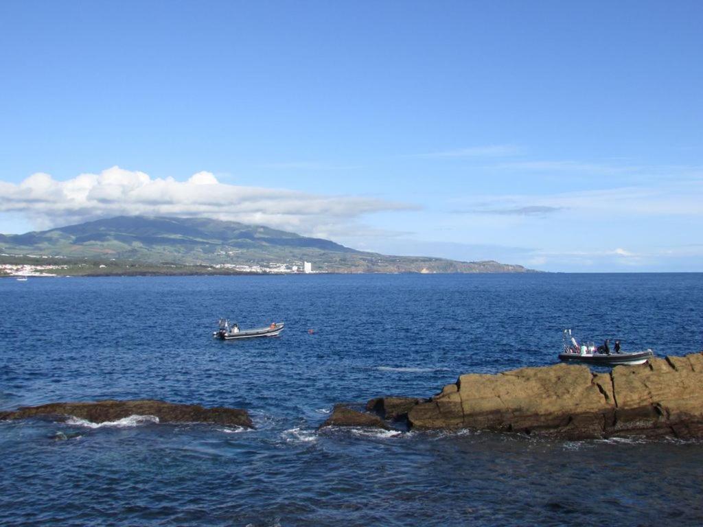 Cantinho Do Ilheu Apartment Ponta Delgada (Sao Miguel)